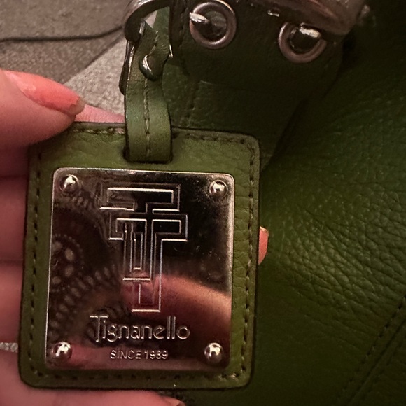 Tignanello Green Shoulder Bag with Smooth Leather Finish - Picture 2 of 9